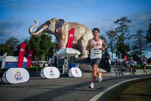 BIB: 
                            <button type="button" onclick="openModal(26541778)" class="btn btn-primary btn-sm float-right btn-popup" data-toggle="modal" data-target=".modal-high-quality">
                        <i class="fas fa-shopping-cart"></i> Add to Cart
                    </button>
                                            <button type="button" onclick="isThisMe(26541778, true)" class="btn btn-success btn-sm float-right btn-popup btn-isme hidden" data-toggle="tooltip" data-placement="bottom" title="นี่คือรูปของคุณใช่ไหม คลิกที่นี่เพื่อเอาเข้าอัลบั้ม">
                        <i class="fas fa-plus"></i> Add to album
                    </button>
                    <button type="button" onclick="isThisMe(26541778, false)" class="btn btn-warning btn-sm float-right btn-popup btn-isnotme hidden">
                        <i class="fas fa-ban"></i> Remove from album
                    </button>